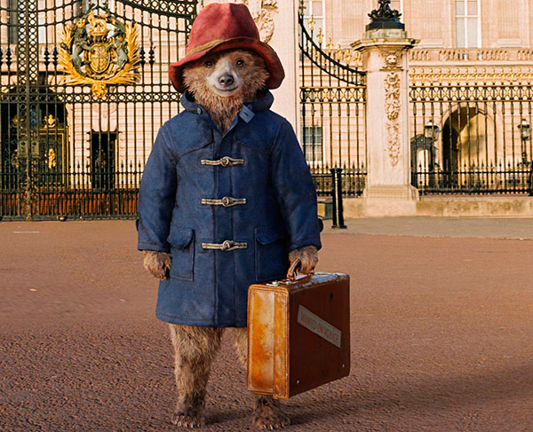 Paddington in duffle coat